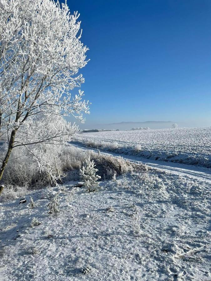 Domek nad Stawem Kłodzko Zewnętrze zdjęcie